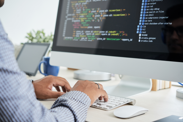 Desarrollo y diseño web en Puerto Vallarta